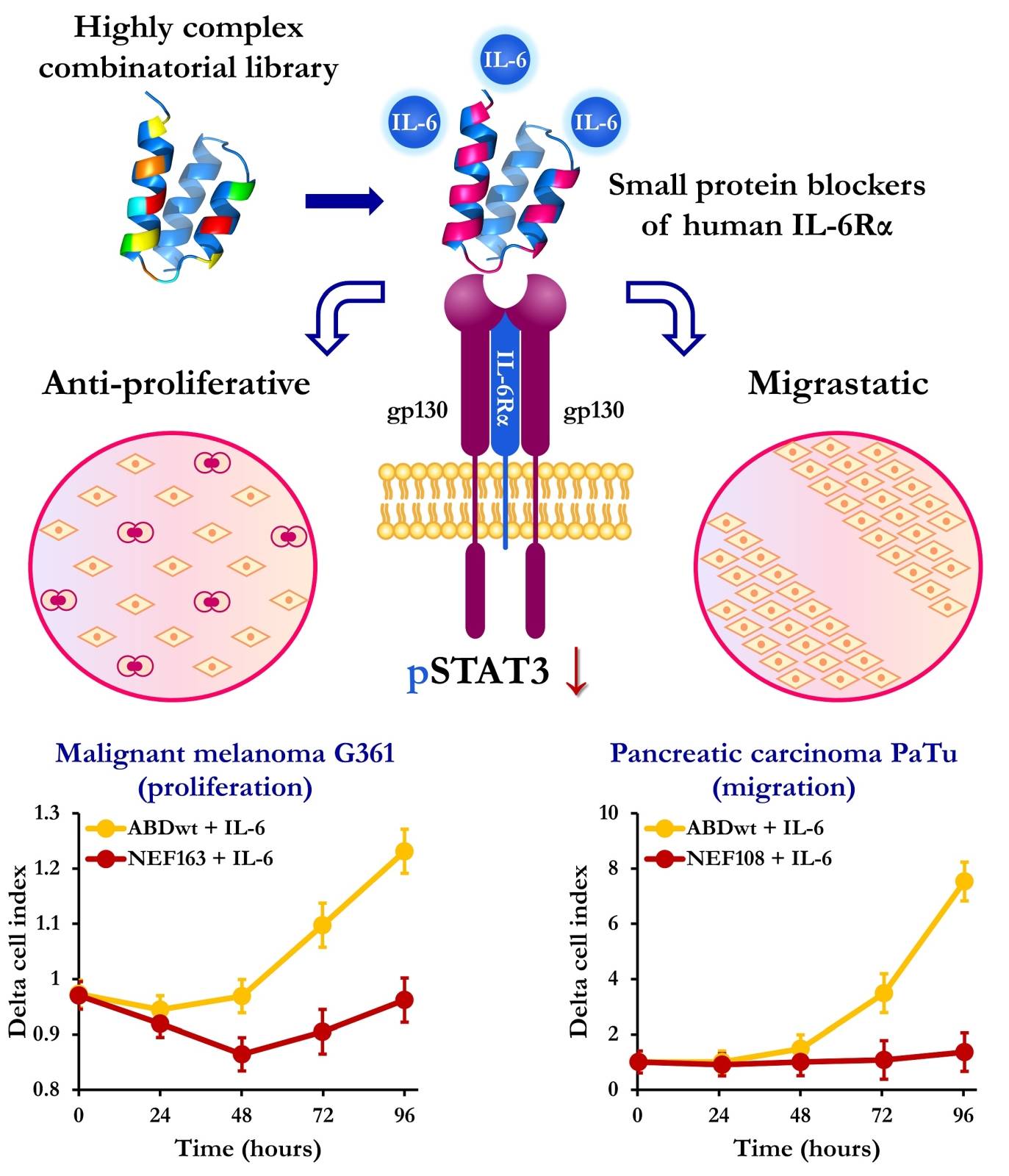 Graphical abstract_F