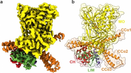 fig1