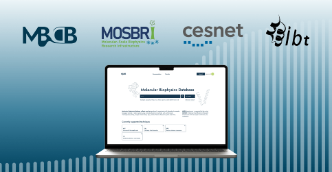 New Database for Storing Raw Molecular Biophysics Data – MBDB